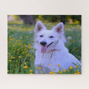 Weisser Schweizer Schäferhund Jigsaws.