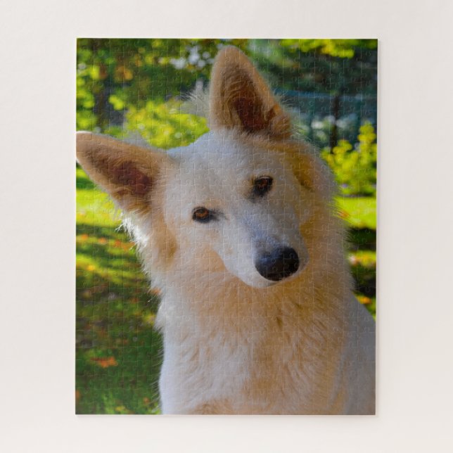 Weisser Schweizer Schäferhund Jigsaws. (Vertikal)