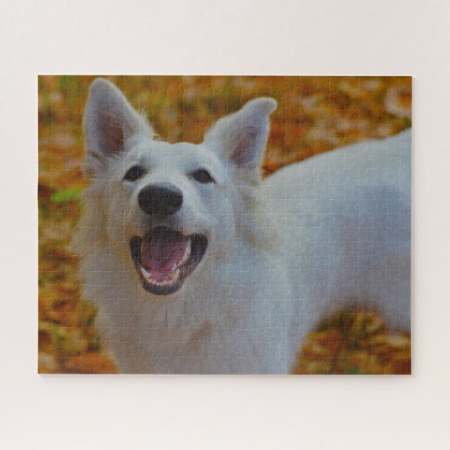 Weisser Schweizer Schäferhund Jigsaws. (Horizontal)