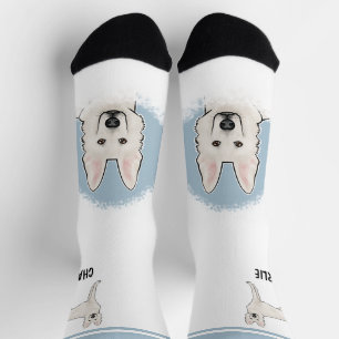 Weisser Schweizer Schäferhund Weißer GSD Hund mit Socken