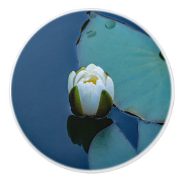 Weißer Seerosen im Teich, Naturfotografie Keramikknauf
