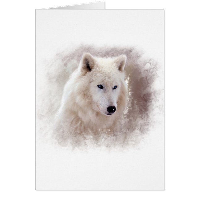 WEISSER SIBIRISCHER SCHLITTENHUND (Vorne)