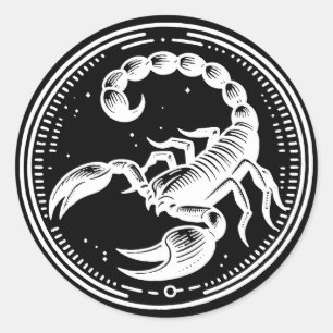 Weißer Skorpion Astrologie Sternzeichen Skorpion Runder Aufkleber