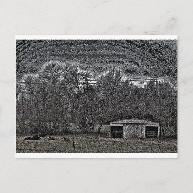 Weißer Stall Postkarte (Vorderseite)