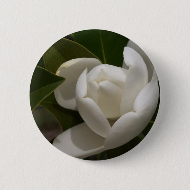Weißer Südmagnolia-Blume Button (Vorderseite)