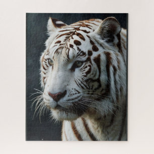 Weißer Tiger
