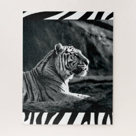 Weißer Tiger