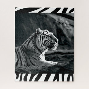 Weißer Tiger
