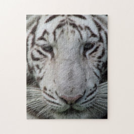 Weißer Tiger