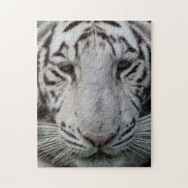 Weißer Tiger (Vertikal)