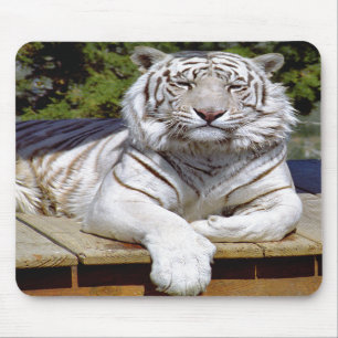 Weißer Tiger 9 Mousepad