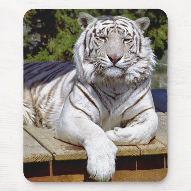 Weißer Tiger 9 Mousepad (Vorne)
