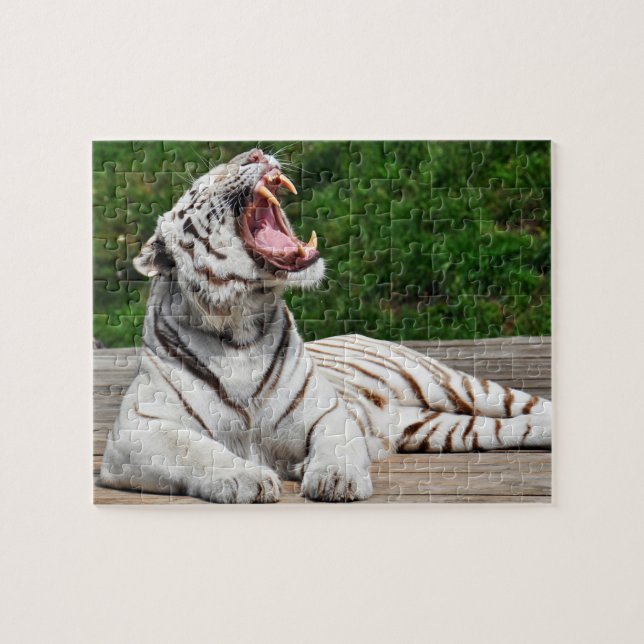 Weißer Tiger, bengalisches Tiger-Puzzlespiel (Horizontal)