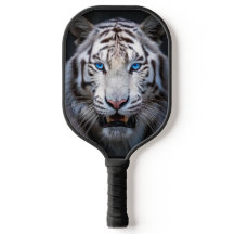 Weißer Tiger Blaue Augen