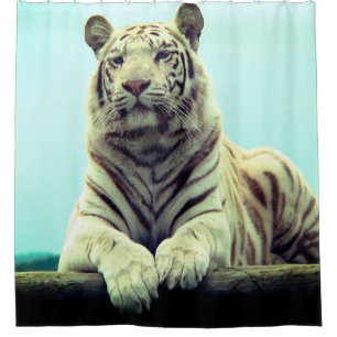 Weißer Tiger Duschvorhang