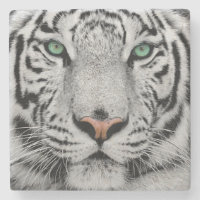 WEISSER TIGER FACE NAH-UP