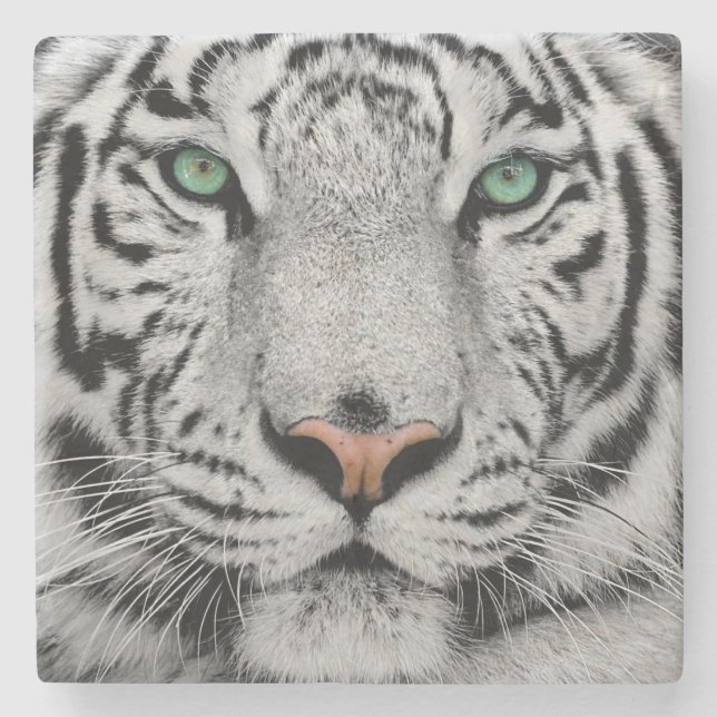 WEISSER TIGER FACE NAH-UP STEINUNTERSETZER (Vorderseite)