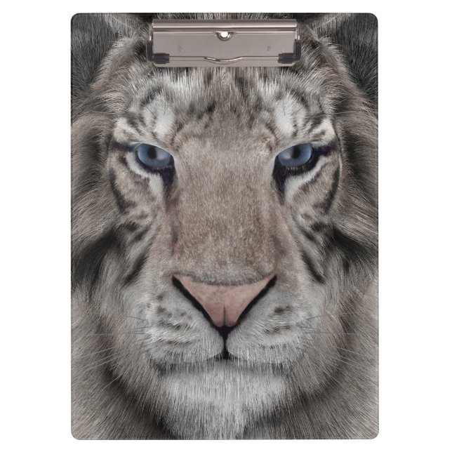 Weißer Tiger Klemmbrett (Vorderseite)