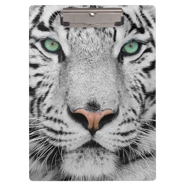 Weißer Tiger Klemmbrett (Vorderseite)