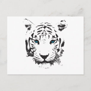 Weißer Tiger mit blauen Augen Postkarte