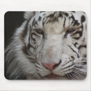 Weißer Tiger Mousepad