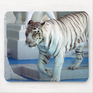 Weißer Tiger Mousepad