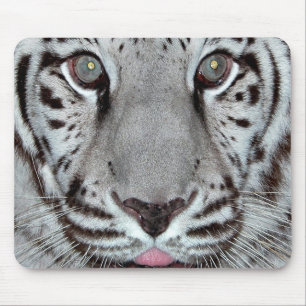Weißer Tiger Mousepad