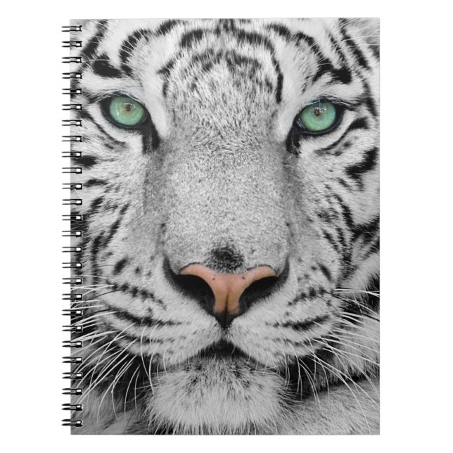 Weißer Tiger Notizblock (Vorderseite)