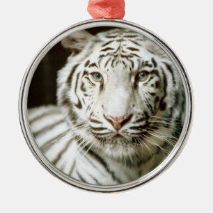 Weißer Tiger Ornament Aus Metall