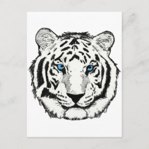 Weißer Tiger-Postkarte Postkarte