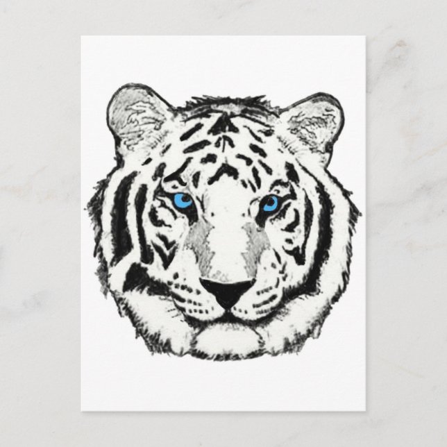 Weißer Tiger-Postkarte Postkarte (Vorderseite)