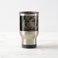 Weißer Tiger