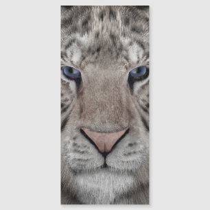 weißer_Tigerkopf Magnetkarte