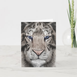 Weißer Tigerkopf Wildtier Ästhetik