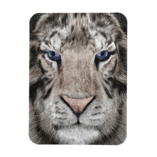 Weißer Tigerkopf Wildtier Ästhetik Magnet