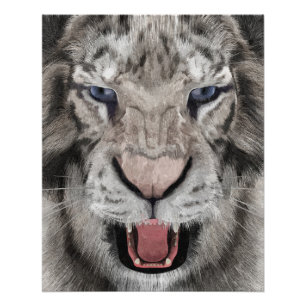 Weißer Tigerkopf Wildtier Ästhetik Poster