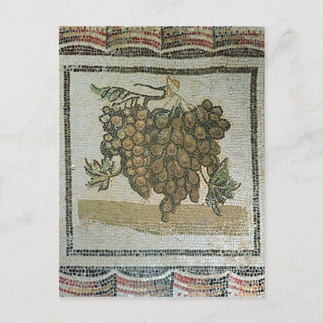 Weißer Traubenstrauch, römisches Mosaik Postkarte (Vorderseite)