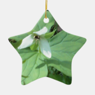 Weißer Trillium mit grüner Farbe Keramikornament