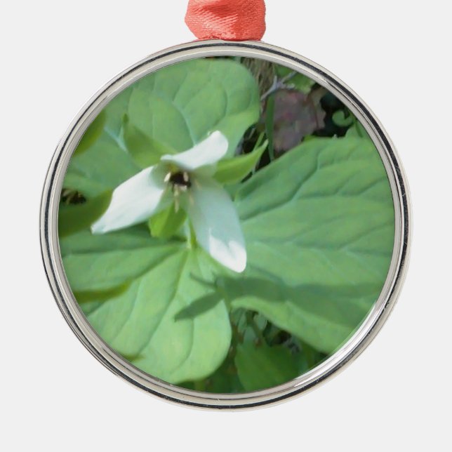 Weißer Trillium mit grüner Farbe Silbernes Ornament (Vorne)