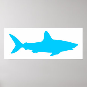 Weißer und Aqua Blauer Hai Poster