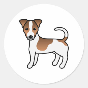Weißer und brauner glatthaariger Jack-Russell-Terr Runder Aufkleber