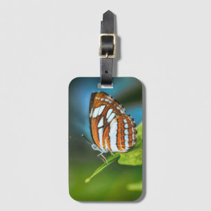 Weißer und orange gestreifter Schmetterling Gepäckanhänger