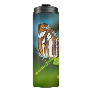 Weißer und orange gestreifter Schmetterling Thermosbecher