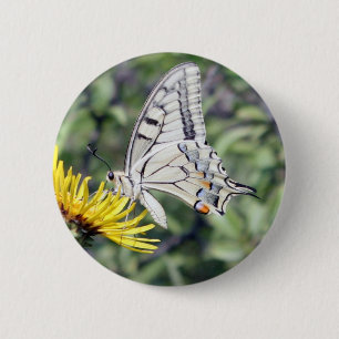 Weißer und schwarzer Schmetterling mit roten Fleck Button