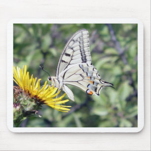 Weißer und schwarzer Schmetterling mit roten Fleck Mousepad
