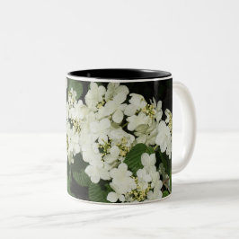 Weißer Viburnum Zweifarbige Tasse