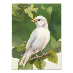 Weißer Vogel auf grünem, blättrigem Ast Fotodruck