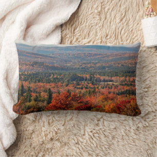 Weißer Wald   New Hampshire Lendenkissen