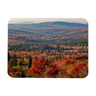 Weißer Wald New Hampshire Magnet