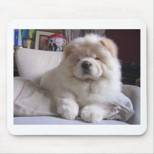 Weißer Windbeutel-Chow-Chow-Welpe Mousepad